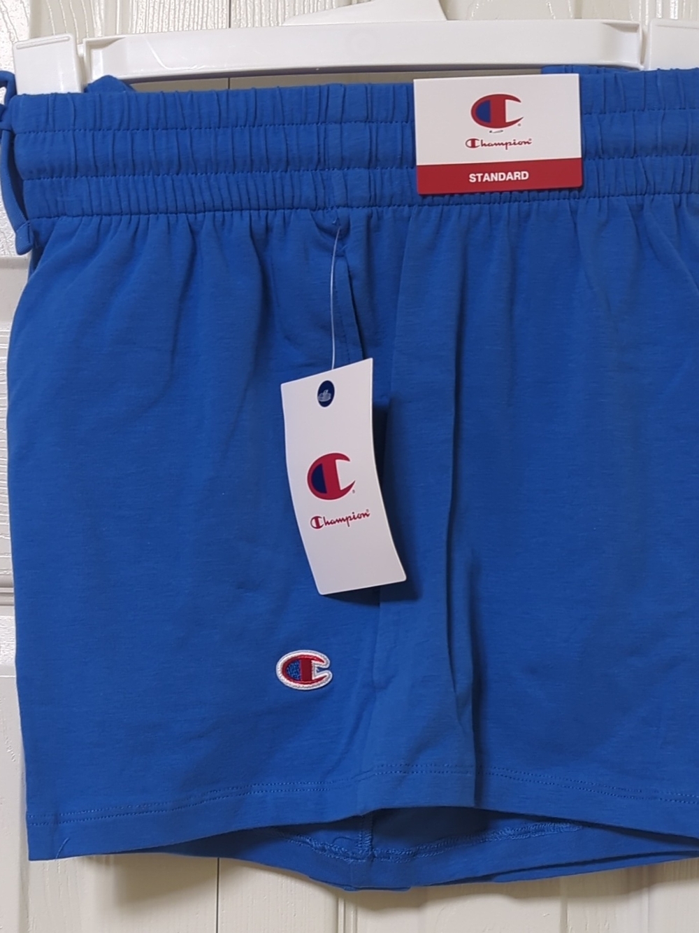 Champion Women's Large Nebulas Blue Athletic Shorts